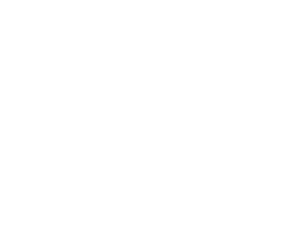 EinV